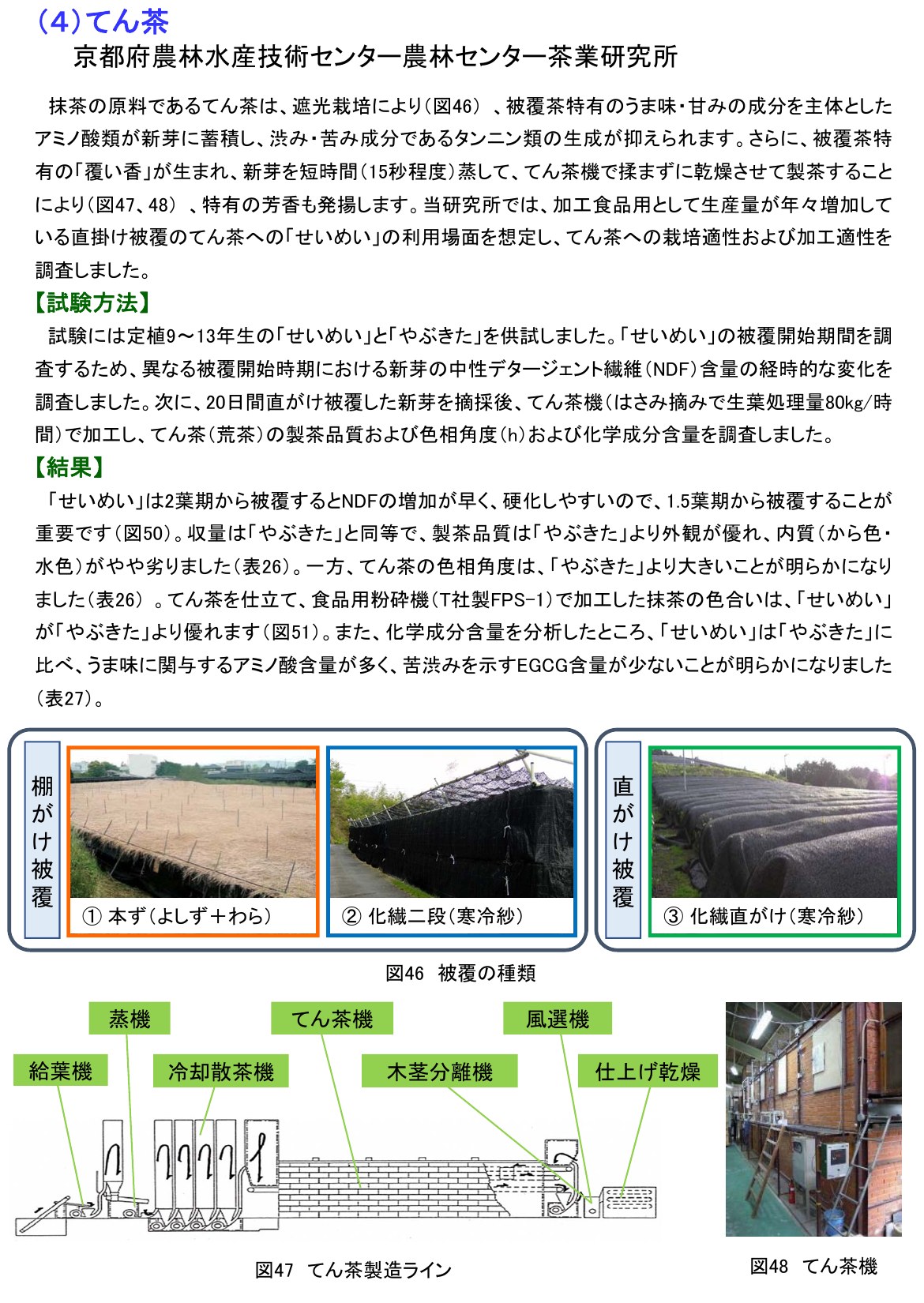 京都府茶業研究所の解説。抹茶の原料であるてん茶は、遮光栽培でうま味・甘みのアミノ酸類が新芽にたまり、渋み・苦みのタンニン類ができにくくなり、新芽を15秒程度蒸してから、てん茶機で揉まずに乾かすと書かれている。被覆の種類の写真と、給葉機・蒸機・冷却散茶機・てん茶機・木茎分離機・風選機・仕上げ乾燥と並ぶてん茶製造ラインの図がある